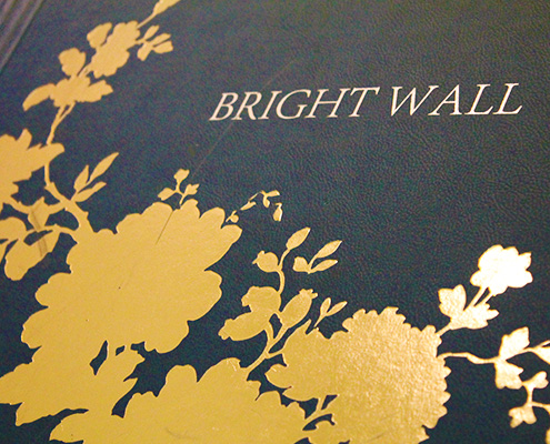 papel de parede classico bright wall reflections